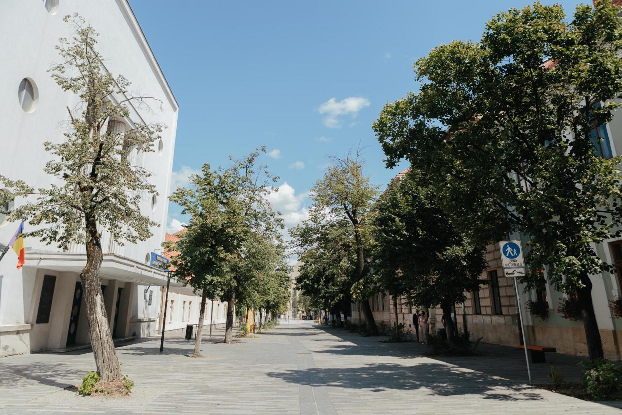 Contessa Apartment Cluj Napoca Exterior foto